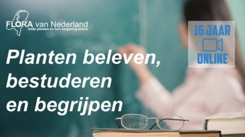 Flora van Nederland 2024 Planten bestuderen