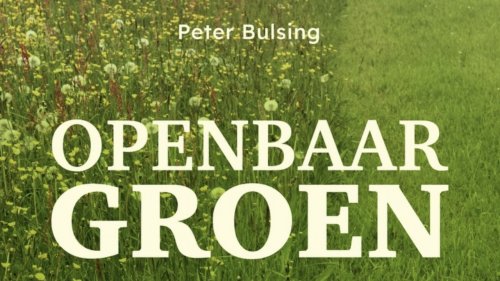 Openbaar Groen Peter Bulsing KNNV Flora van Nederland